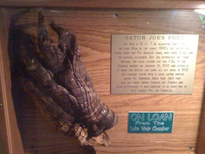 Gator Joes