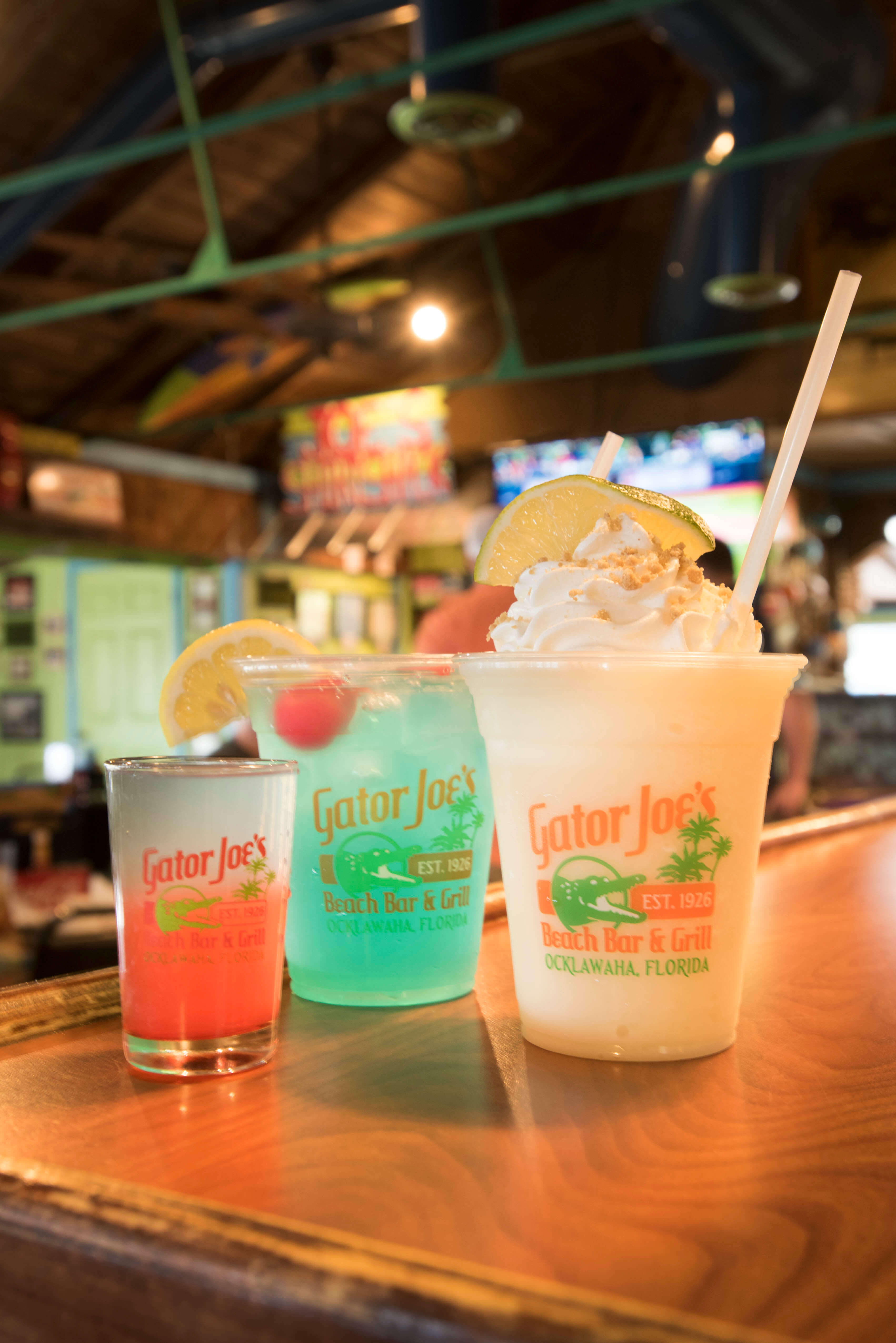 Gator Joe's Beach Bar & Grill Ocklawaha, Florida Restaurant